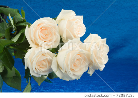 Composityion With Flowers Composityion With Flowers 72087153