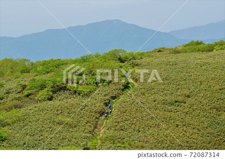 Nogo白山山頂附近的草地和山間小徑 72087314