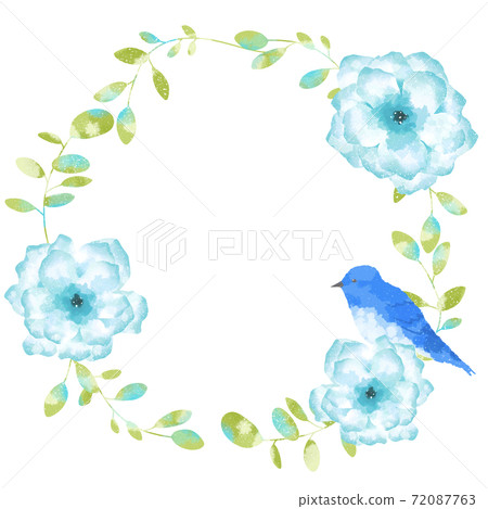 藍鳥，海葵和桉樹的框架承載著溫柔的幸福感 72087763