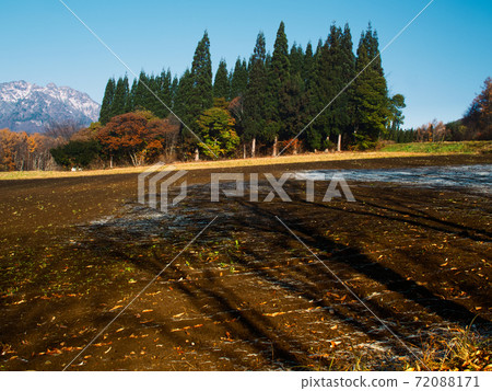 A clear morning when the frost melts 72088171