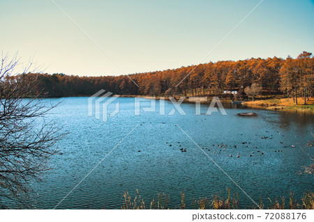 早晨到了 72088176