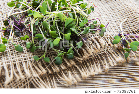 Heap of radish micro greens on old wooden background. Healthy eating concept. 72088761