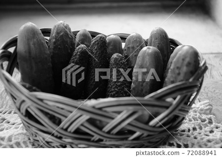 Fresh green small cucumbers in a basket 72088941