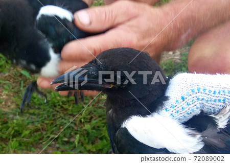 people are holding in their hands a cry forty 72089002