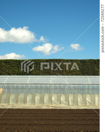 Spring fields, greenhouses and hedge landscapes Spring fields, greenhouses and hedge landscapes 72089277