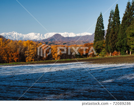 Morning in a superb view field 72089286