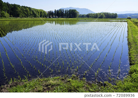 栽種時的里山風景 照片素材 圖片 7936 圖庫