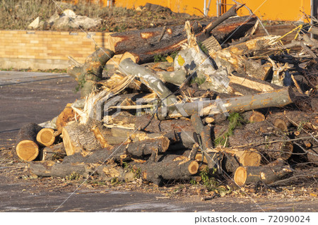 Randomly stacked logs Randomly stacked logs 72090024