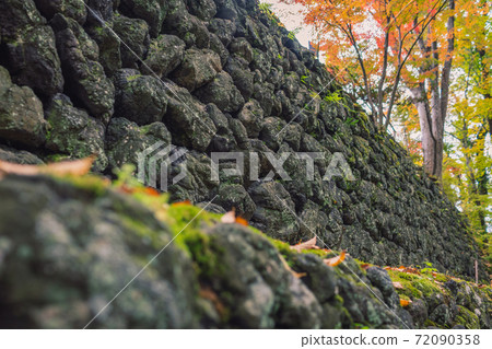 Stone wall and autumn leaves of grilled stone [Komoro Castle Ruins Nostalgia Garden] 72090358