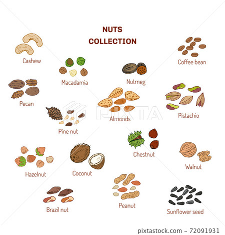 Set of nuts and seeds 72091931
