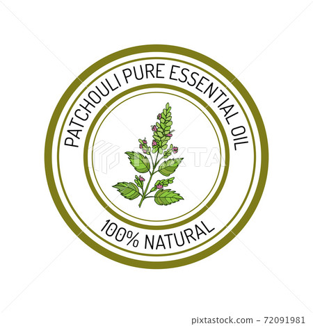 patchouli, essential oil label, aromatic plant 72091981