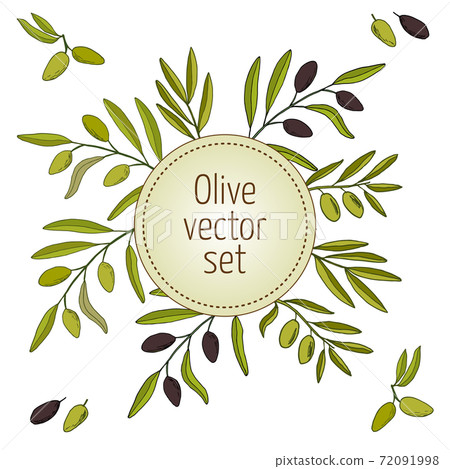 hand drawn olive branches - Stock Illustration [72091998] - PIXTA