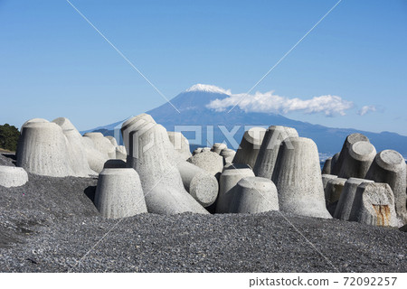 Tetrapod Tetrapod 72092257