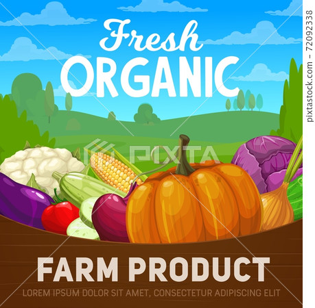 Fresh farm vegetables poster with organic food - Stock Illustration ...