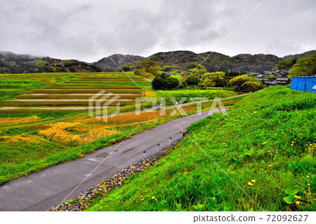 Rice terraces 72092627