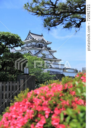 Kishiwada Castle and Azalea (Kishiwada City, Osaka Prefecture) Kishiwada Castle and Azalea (Kishiwada City, Osaka Prefecture) 72092721