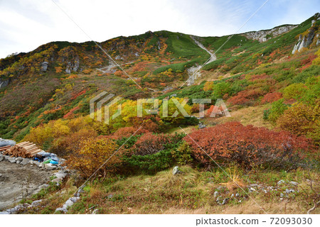 秋葉的Senjyo Kiki捲曲 72093030