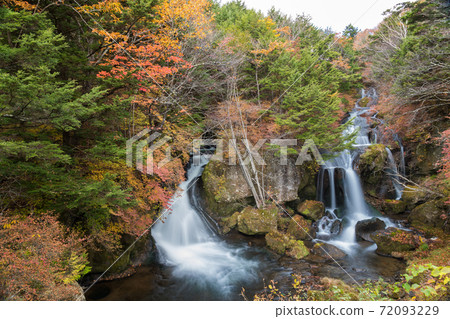 [Slow shutter shooting of the autumn leaves of Ryuzu Falls] 72093229