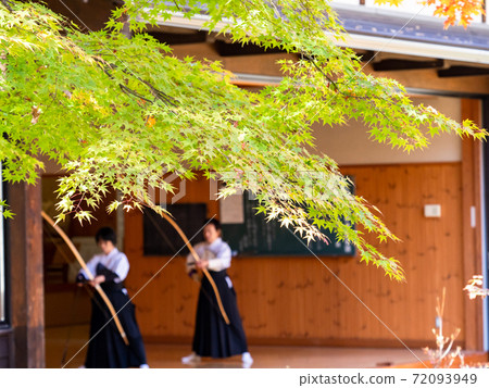 生動的楓木和射箭練習 72093949