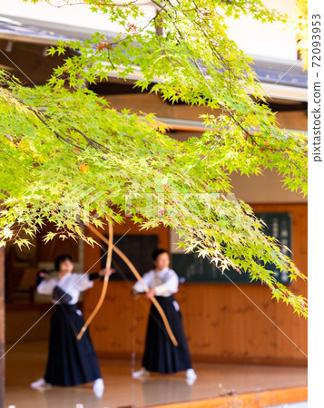 生動的楓木和射箭練習 72093953