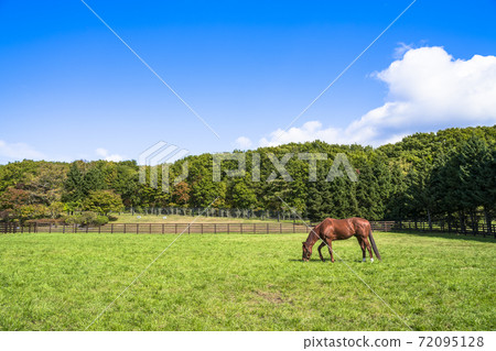 Blue sky and ranch scenery Horse Hokkaido Blue sky and ranch scenery Horse Hokkaido 72095128