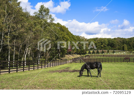 Blue sky and ranch scenery Horse Hokkaido Blue sky and ranch scenery Horse Hokkaido 72095129