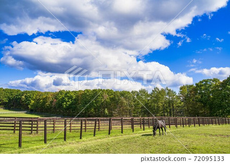 Blue sky and ranch scenery Horse Hokkaido Blue sky and ranch scenery Horse Hokkaido 72095133