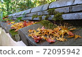 Autumn leaves and roof tiles 72095942