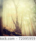 From the mountain trail in the clouds 72095959