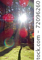 Forest wand 72096260