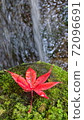 Waterfall and autumn leaves 72096691