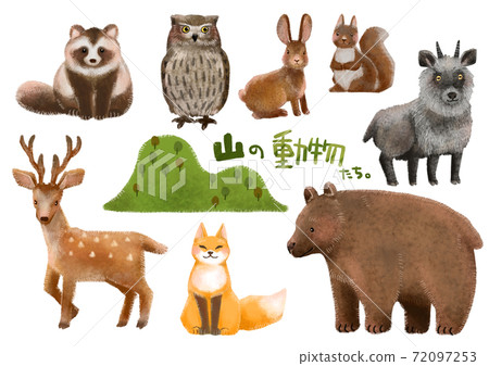 Mountain animals 72097253
