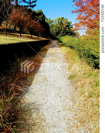 Autumn road 72098596