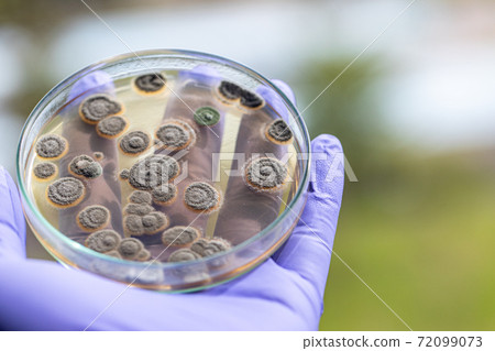 drug, bacteria, test 72099073