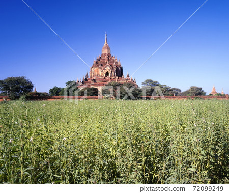 蒲甘的Sulamani寺 72099249