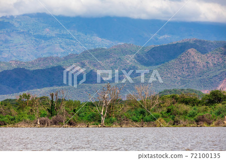 Lake Chamo landscape, Ethiopia Africa Lake Chamo landscape, Ethiopia Africa 72100135