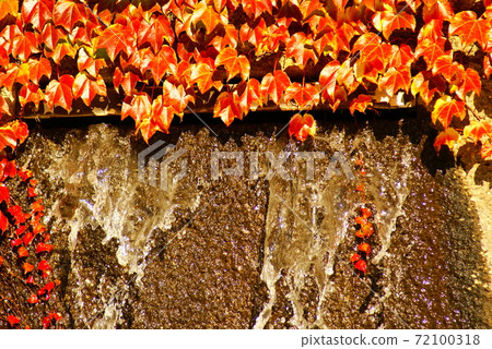 Color Autumn leaves Autumn running water park Fountain (registered in November 2020) Maximum size: L Color Autumn leaves Autumn running water park Fountain (registered in November 2020) Maximum size: L 72100318