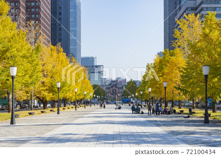 [Tokyo] Cityscape Gyoko-dori Ginkgo trees and Marunouchi buildings 72100434