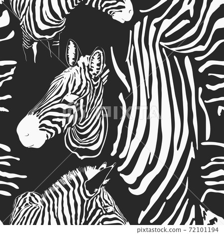 Contemporary zebra seamless patter. Black and White Fabric Pattern Design. Illustration of seamless zebra pattern, vector 72101194