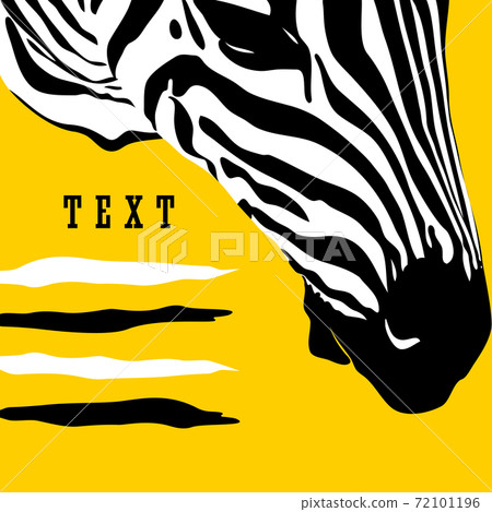 Graphical poster with head zebra closeup on yellow background, vector illustration in pop art collage style Graphical poster with head zebra closeup on yellow background, vector illustration in pop art collage style 72101196