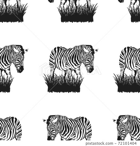 Seamless pattern of graphical sketch Zebra stands in the grass isolated on white background, vector illustration 72101404