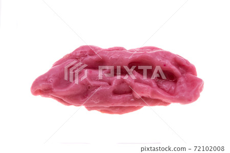 chewing gum isolated 72102008