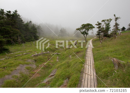 Shizuoka A wooden path leading to the Seihei hut of 100 famous mountains in Japan (Mt. Tekari / Mt. Hijiri) in Shizuoka Shizuoka A wooden path leading to the Seihei hut of 100 famous mountains in Japan (Mt. Tekari / Mt. Hijiri) in Shizuoka 72103285