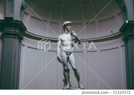 Panoramic view of hall with sculpture is David by Italian artist Michelangelo 72103572