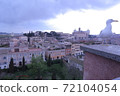 Seagulls in the city of Rome 72104054