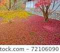 Autumn leaves carpet 72106090