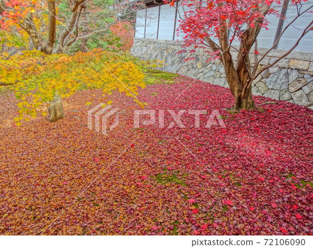 Autumn leaves carpet 72106090