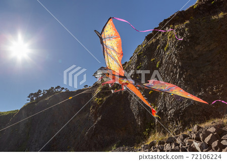 A Dragon Kite fly in the blue sky 72106224