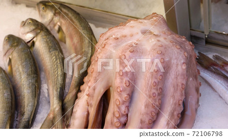 Seafood display at market. 72106798