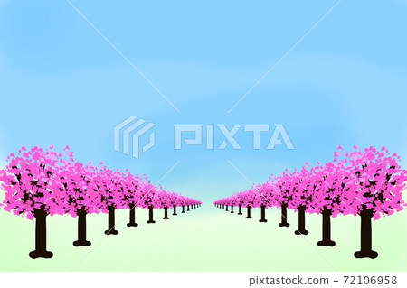 櫻花樹行圖 櫻花樹行圖 72106958